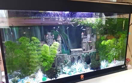 Photo of free Fish tanks (NR7) #1