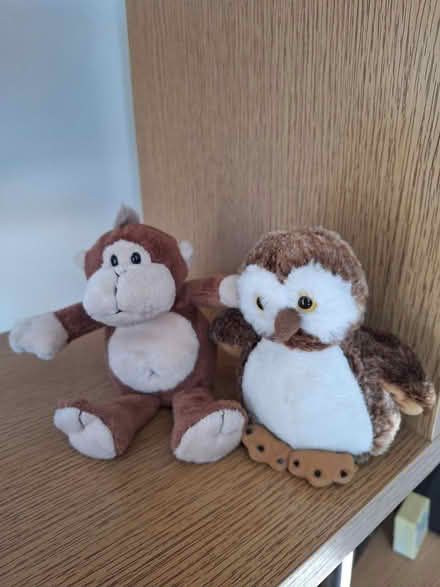 Photo of free Pair of cute little cuddle toys (Pemberton WN5) #1