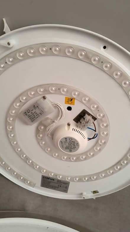 Photo of free Light fitting and switch (Middlesbrough) #2