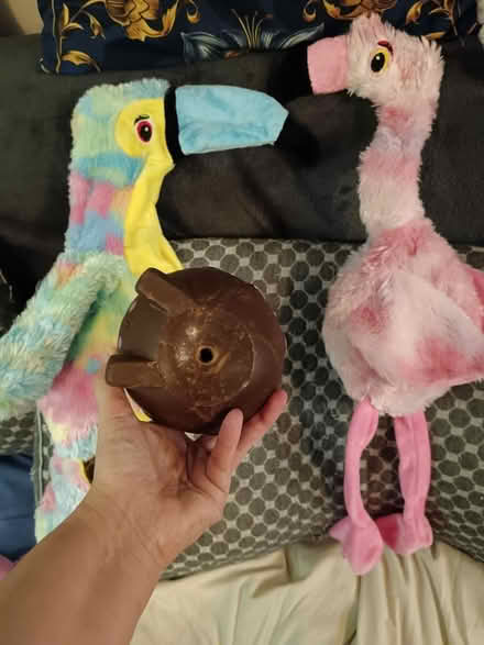 Photo of free Dog toys (St. Stephen's CT2) #2
