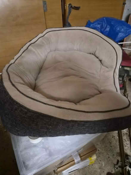 Photo of free Extra large dog bed used (Tewin) #2