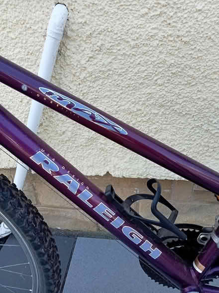 Photo of free Ladies/Girls Bike (Hest Bank LA2) #2