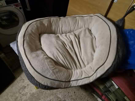 Photo of free Extra large dog bed used (Tewin) #1