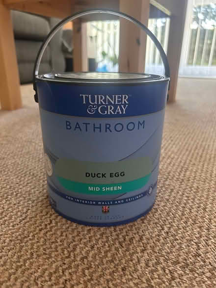 Photo of free Duck egg paint bathroom paint (WA4) #1