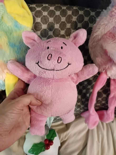 Photo of free Percy pig (St. Stephen's CT2) #1