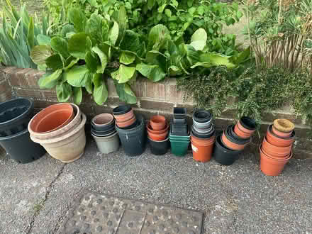 Photo of free Plant pots (West Blatchington BN3) #1