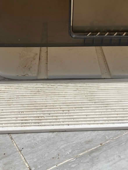 Photo of free Cat litter box (W12) #3