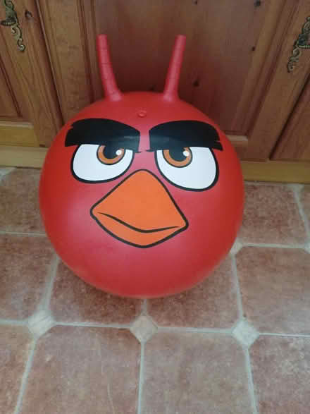 Photo of free Space hopper (Wistaston CW2) #1