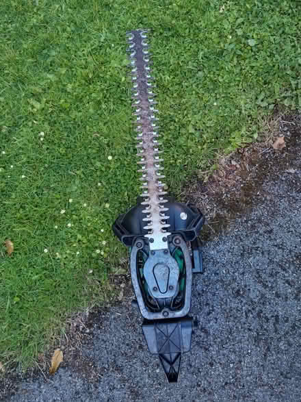 Photo of free Petrol hedge trimmer (Lea Bridge DE4) #1