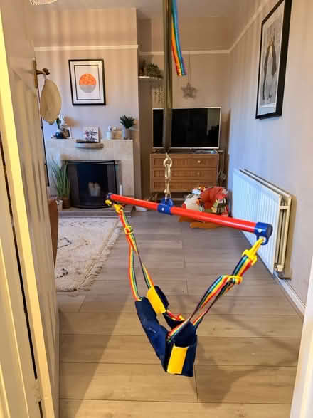 Photo of free Baby door bouncer (Wivenhoe CO7) #3