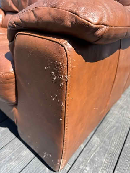 Photo of free Leather 2 seater sofa (Wickford SS12) #2