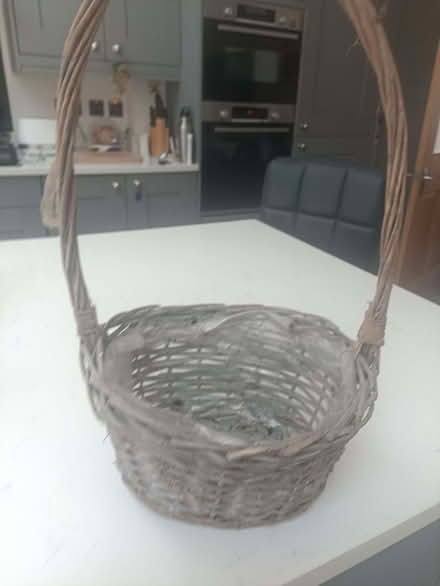 Photo of free 2 Basket plant pots (Chapelfields CV5) #2