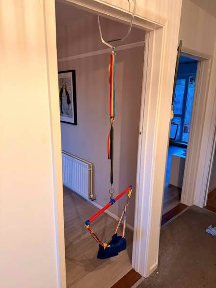 Photo of free Baby door bouncer (Wivenhoe CO7) #4