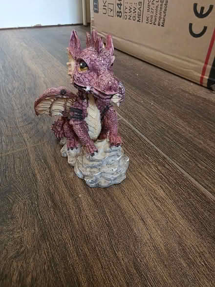 Photo of free Dragon small (Ramsgate CT11) #1