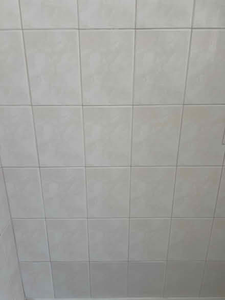 Photo of free Pink porcelain tile (Near Homestead & Scott) #2