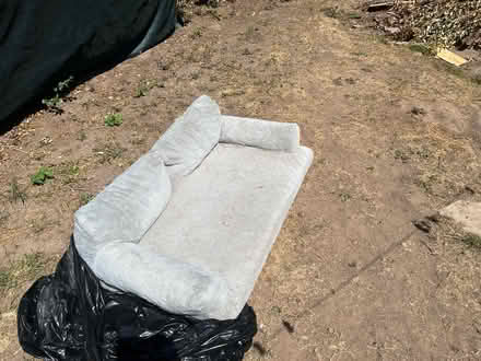 Photo of free XL dog bed (B113hj) #1