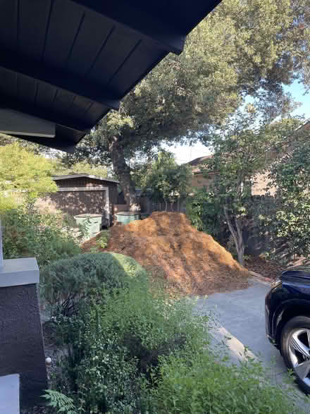 Photo of free Arborist Wood Chips (S San Marino Ave, Pasadena) #1