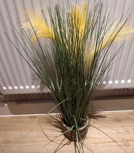 Photo of free Fake plant (Thornton Heath CR7) #1