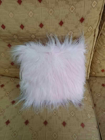 Photo of free Pink Cushion (City of Bristol BS16) #2