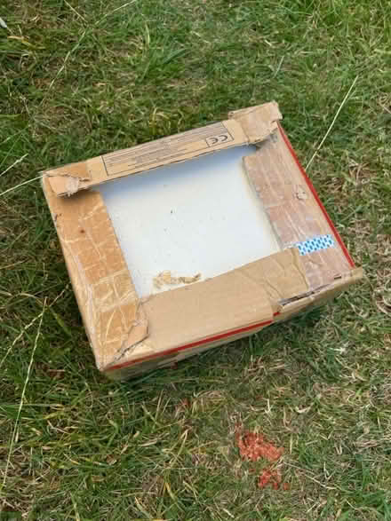 Photo of free white wall tiles - matt (SM4, Morden) #2