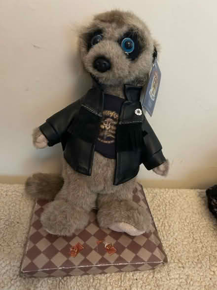 Photo of free Meerkat - vassily soft toy. (Shenley Fields B29) #1