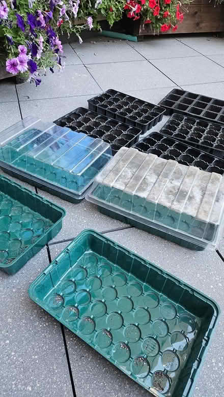 Photo of free Seed Trays & Propagators (Rotherhithe SE16) #2