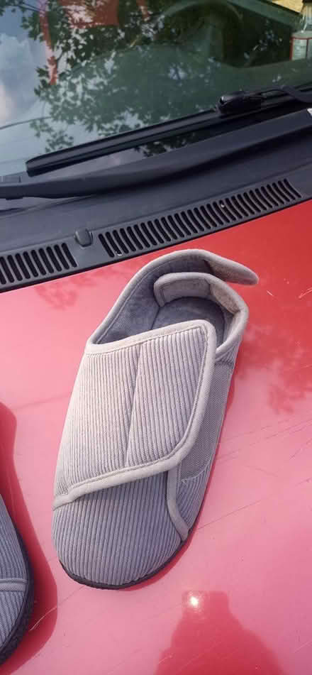 Photo of free Slippers (East Beechwood area) #2