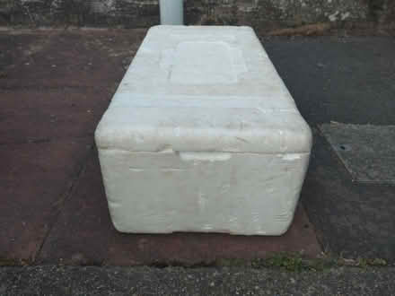 Photo of Polystyrene meat box Donald Russell or similar (High Salvington BN13) #2