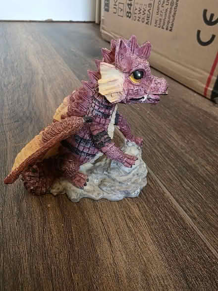 Photo of free Dragon small (Ramsgate CT11) #2