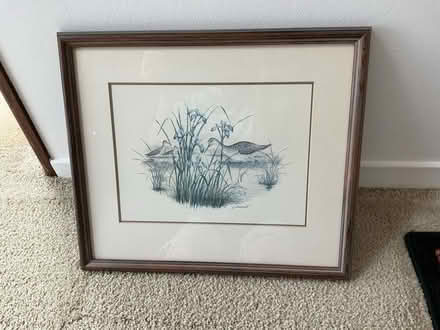 Photo of free Two bird prints (Lucas Valley) #2