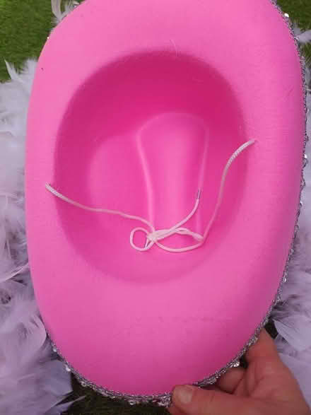 Photo of free Pink Stetson and White Feather Boa (Canonmills EH3) #3