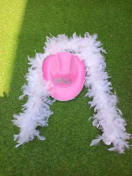 Photo of free Pink Stetson and White Feather Boa (Canonmills EH3) #1