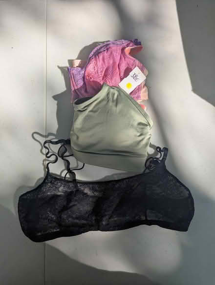 Photo of free nice bra+bralettes, M/L (Davis Square Somerville) #1