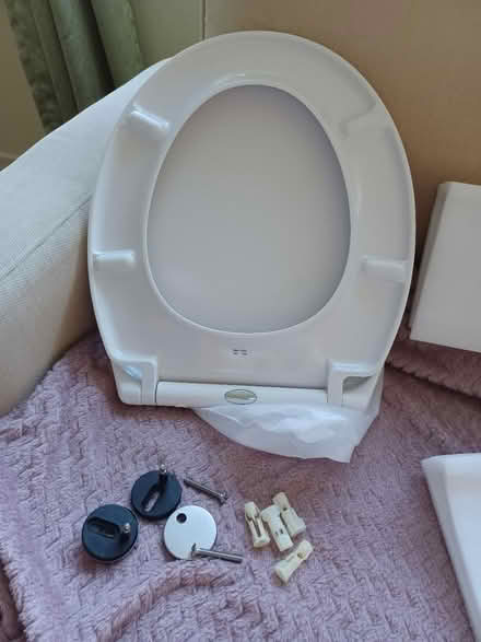 Photo of free Pipistrelle white toilet seat (Brockworth) #2
