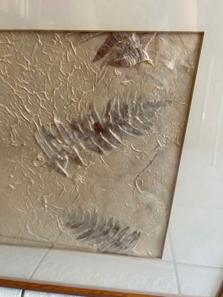 Photo of free Picture, leaf design with mount (Horsham) #2