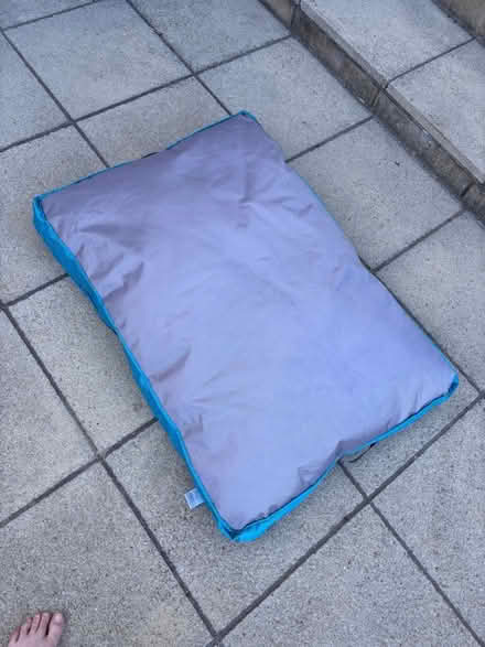 Photo of free Outdoor Dog Bed (Southdown BA2) #1