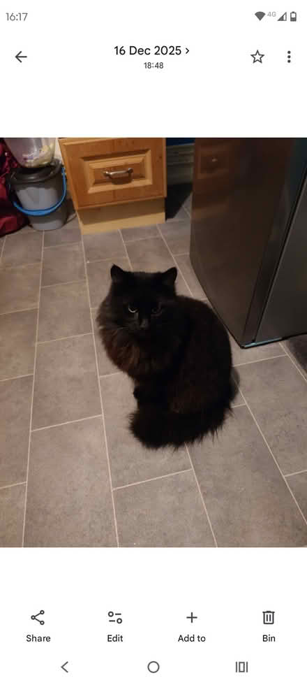 Photo of Cat carrier (DN32NT edenthorpe) #1