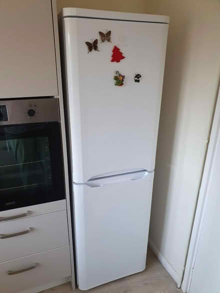 Photo of free Fridge freezer (Westbridgford) #2