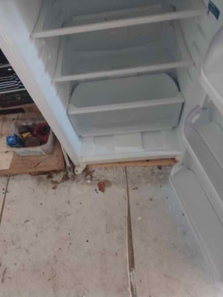 Photo of free Hotpoint free standing refrigerator. 600mm width. (Dinas Powys CF64) #1