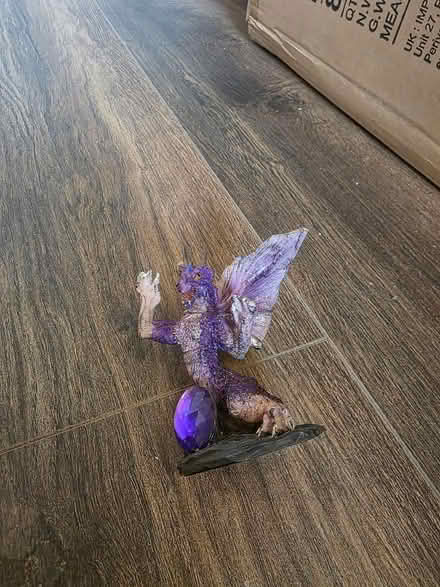 Photo of free Purple dragon (Ramsgate CT11) #2