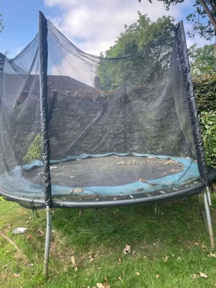 Photo of free 8ft trampoline (S17 Dore) #1