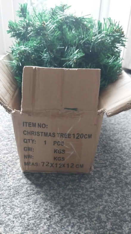 Photo of free Christmas tree - small (Rochester ME1) #2