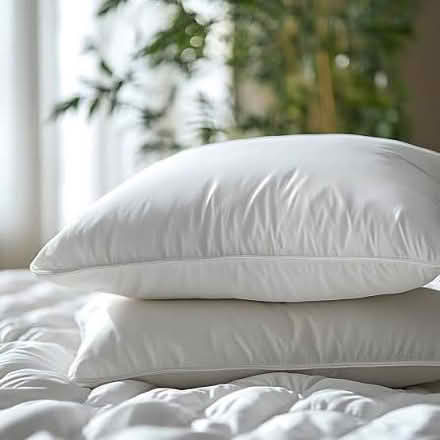 Photo of free 2 x pillows - laundered (Brook Green W6) #1