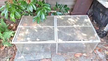 Photo of free Aluminium Cold Frame (Hounslow) #1
