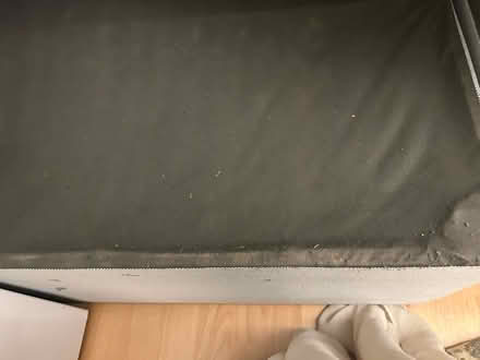 Photo of free Double bed (Wembley) #3