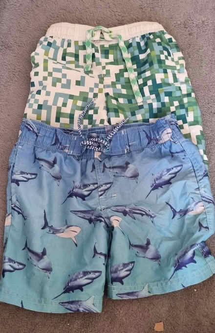 Photo of free Swim shorts (South Norwood SE25) #1