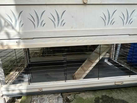 Photo of free Large guinea pig / rabbit wood cage (Holland Park W14) #2