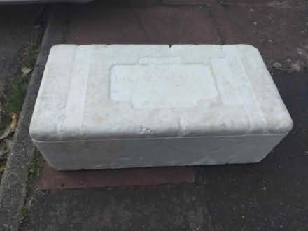 Photo of Polystyrene meat box Donald Russell or similar (High Salvington BN13) #1