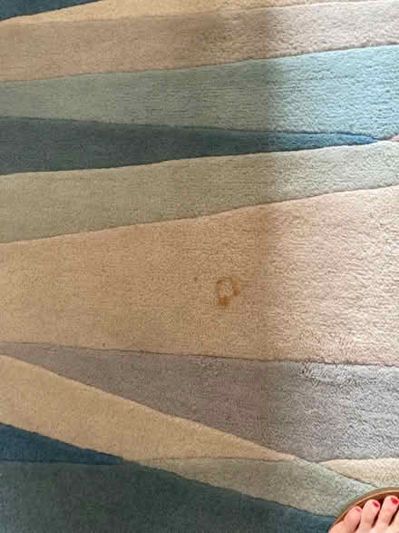 Photo of free Rug (Middlefield Farm OX28) #3