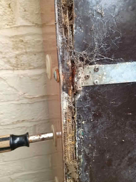 Photo of Plywood (WF17) #2